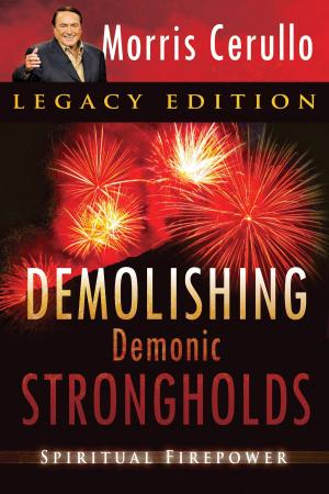 Cover of the book Demolishing Demonic Strongholds: Spiritual Firepower by Adam Thompson