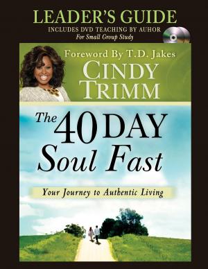 bigCover of the book The 40 Day Soul Fast Leader's Guide by 