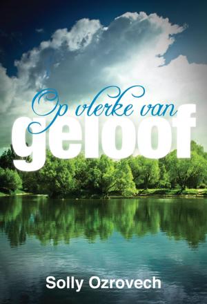Cover of the book Op vlerke van geloof by Helana Olivier