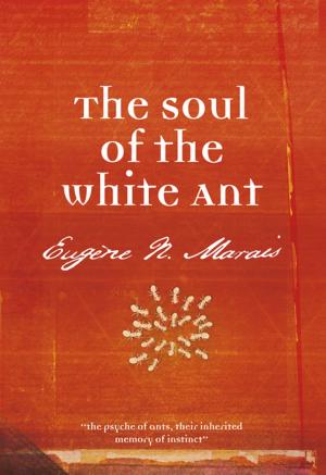 Cover of the book The Soul of the White Ant by Ingrid Winterbach