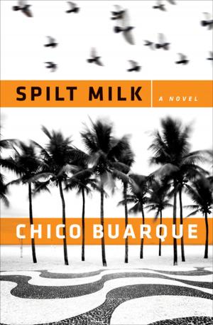Book cover of Spilt Milk