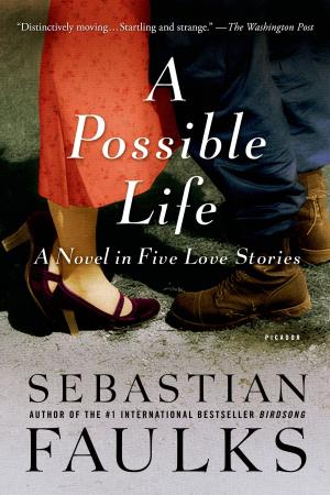 Cover of the book A Possible Life by Chris Stringer, Robin McKie