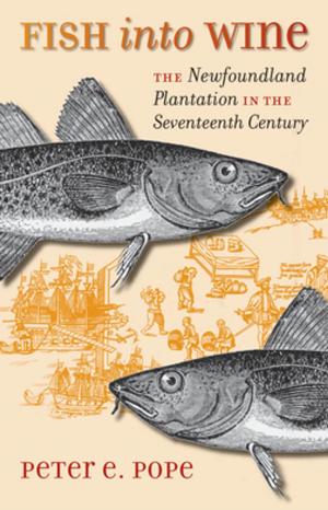Cover of the book Fish into Wine by Brett Rushforth