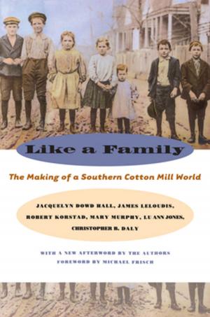 Cover of the book Like a Family by Susan Burch, Hannah Joyner