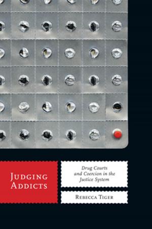 Cover of the book Judging Addicts by Robert F. Reid-Pharr