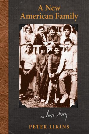 Cover of the book A New American Family by Enrique Salmón, Enrique Salmón