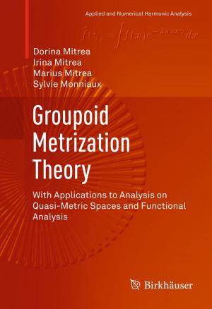Book cover of Groupoid Metrization Theory