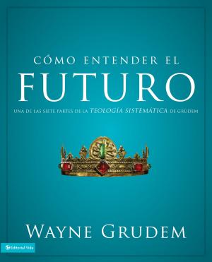 Book cover of Cómo entender el futuro