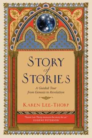 Cover of the book Story of Stories by John Goldingay