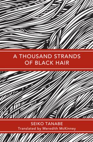 Cover of A Thousand Strands of Black Hair