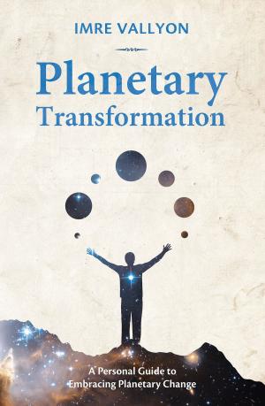 Cover of the book Planetary Transformation by Imre Vallyon