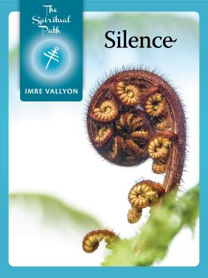 Cover of the book Silence by Imre Vallyon