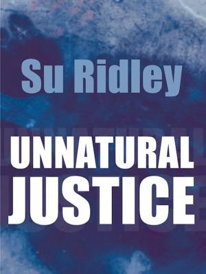 Cover of the book Unnatural Justice by Adi Severin Soliman, Dante Andrea Franzetti