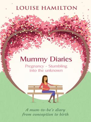 Cover of the book Mummy Diaries: Pregnancy - Stumbling into the unknown by Lisa Stewart
