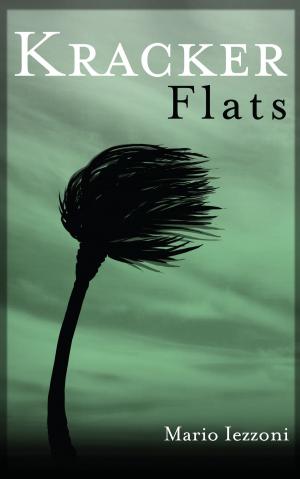 Book cover of Kracker Flats