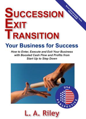 Cover of the book Succession Exit Transition, Your Business for Success by Paul E Harris