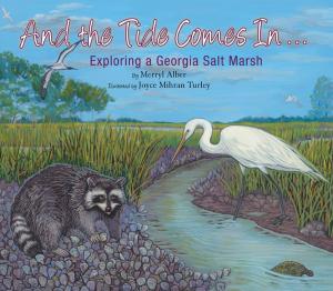 Cover of the book And the Tide Comes In... by Herbie J Pilato