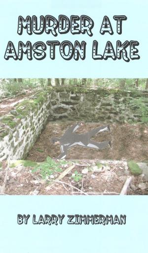 Book cover of Murder at Amston Lake
