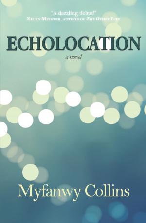 Cover of the book Echolocation by Robin Black