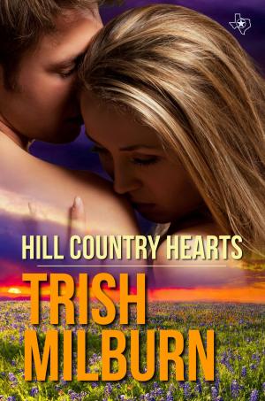 bigCover of the book Hill Country Hearts by 