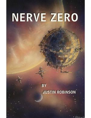 Cover of the book Nerve Zero by Christopher Bailey
