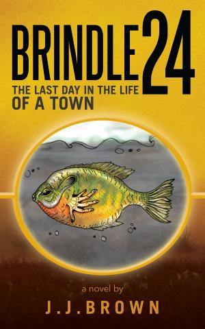 Book cover of Brindle 24