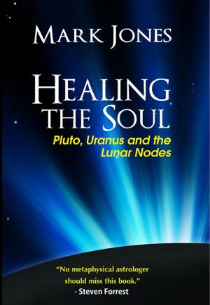 Cover of the book Healing the Soul by Ronald Ritter, Sussan Evermore