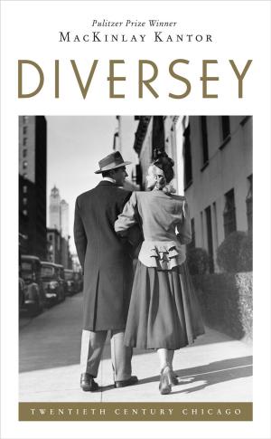 bigCover of the book Diversey by 