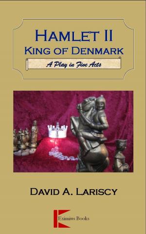 Cover of the book Hamlet II King of Denmark by Amir Fathi