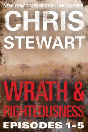 Cover of the book Wrath & Righteousness by Robert Michael