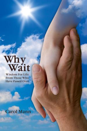 Cover of the book Why Wait by Pamela Redmond Satran