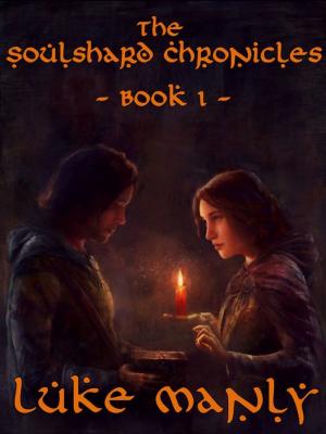 Cover of the book The Soulshard Chronicles: Book 1 by Sarah Quelland