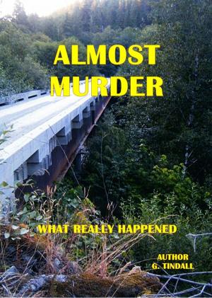 bigCover of the book Almost Murder by 