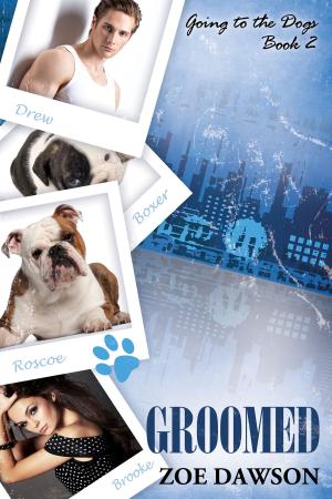bigCover of the book Groomed by 
