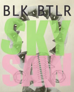 Book cover of Sky Saw