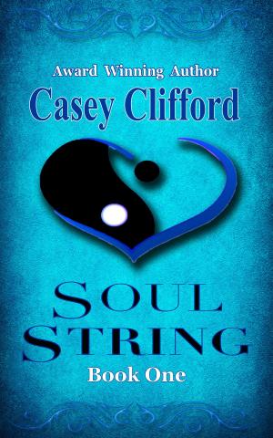 Cover of the book Soul String by Debra L Martin, David W Small