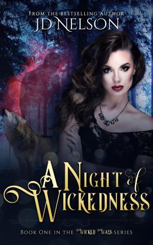 Cover of A Night of Wickedness (Wicked Ways - Book One)