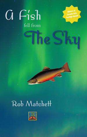 Cover of the book A Fish Fell From the Sky by Richard White