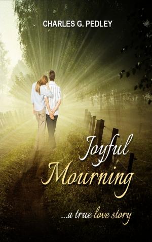 Cover of the book Joyful Mourning: A True Love Story by Ty Saltzgiver
