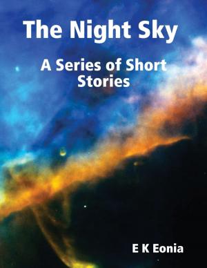 bigCover of the book The Night Sky : A Series of Short Stories by 