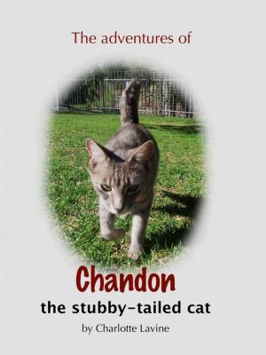 Cover of the book The Adventures of Chandon the Stubby-tailed Cat by Isaac Neill