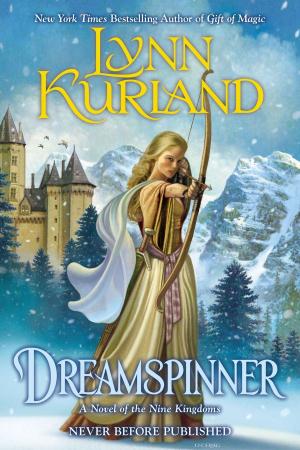 Cover of the book Dreamspinner by Ian Spector