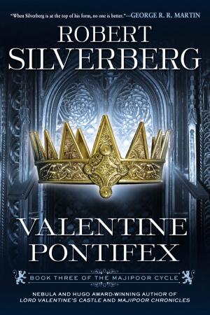 Cover of the book Valentine Pontifex by Betina Krahn