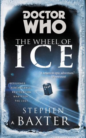 Cover of the book Doctor Who: The Wheel of Ice by Lawrence Raab