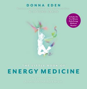 bigCover of the book The Little Book of Energy Medicine by 