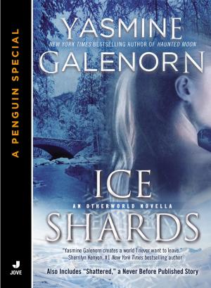 Cover of the book Ice Shards by Phil Doran