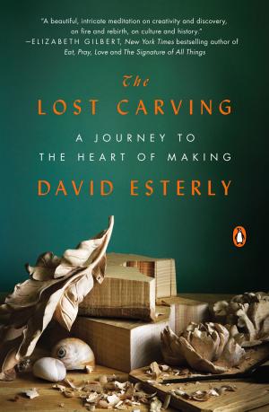 Cover of the book The Lost Carving by Victoria Abbott