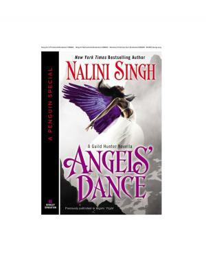 Cover of the book Angels' Dance by James Kakalios