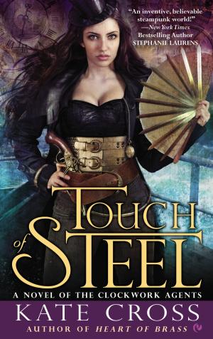 Cover of the book Touch of Steel by Tate Hallaway