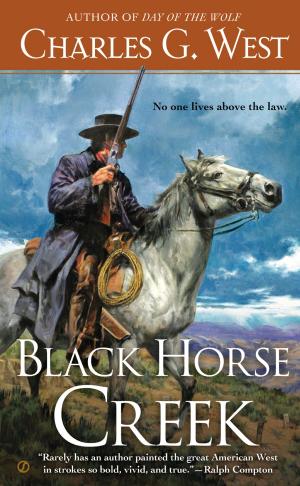 Cover of the book Black Horse Creek by Jennifer Scott